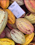 70% Guatemala | coconut sugar