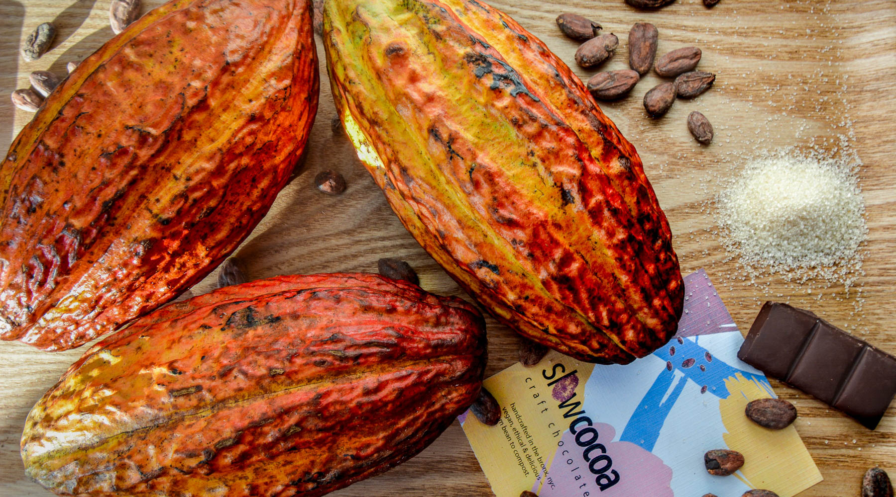 slowcocoa fresh cacao pods with beans, sugar and chocolate