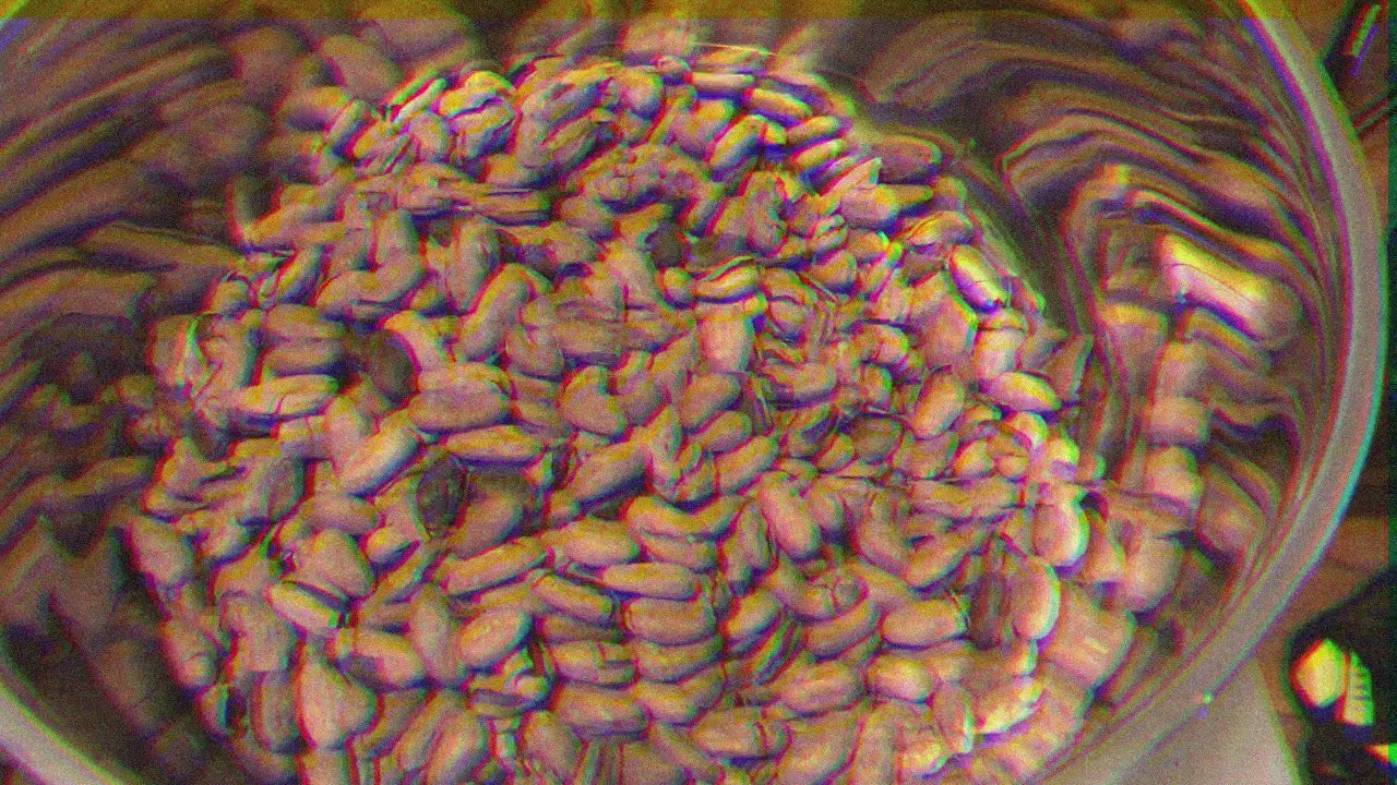 slowcocoa behind the scenes - cacao bean hand-sorting